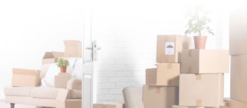 packers movers-